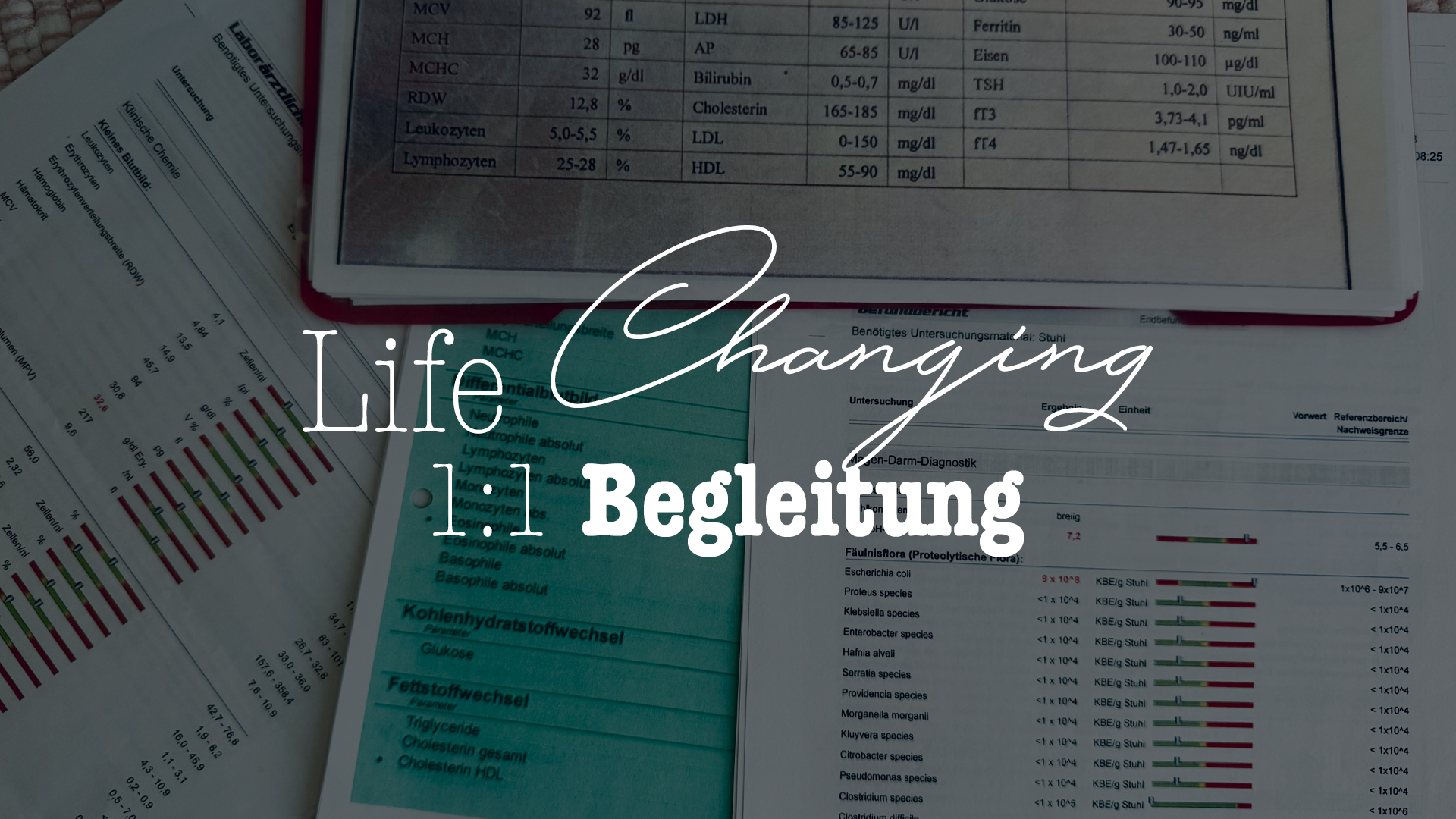 Sensitivity Reset – 1:1 Begleitung für sensible Körper