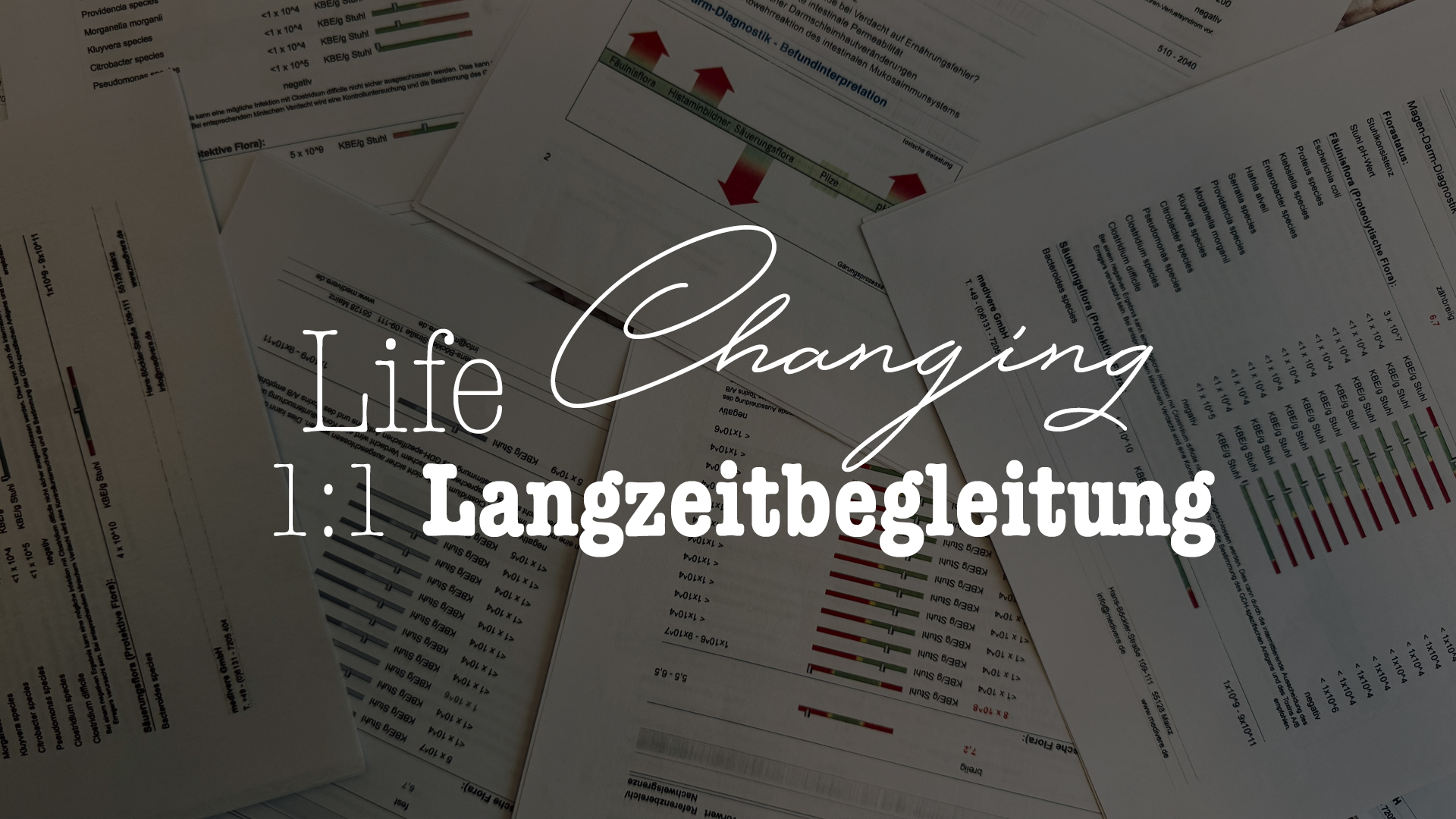 Intensive 1:1 Begleitung: